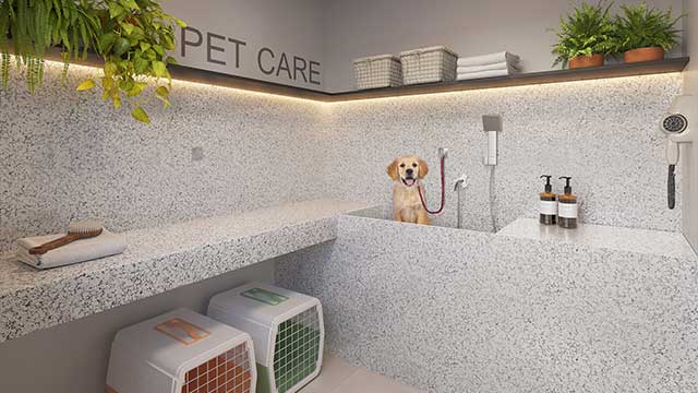 PET CARE